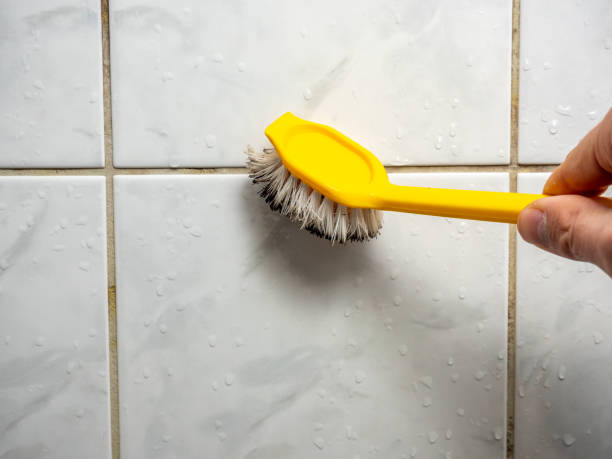 Best Home Mold Removal  in Big Beaver, PA