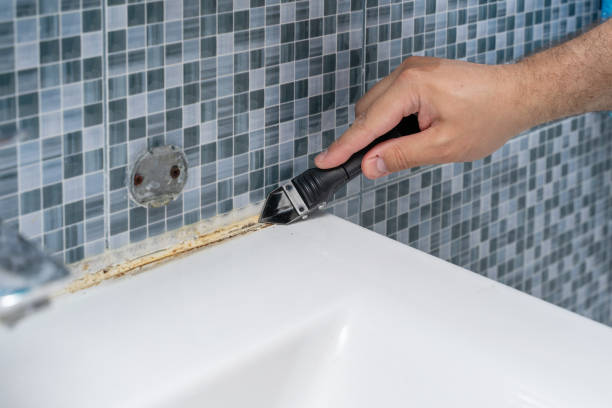 Best Mold Remediation  in Big Beaver, PA